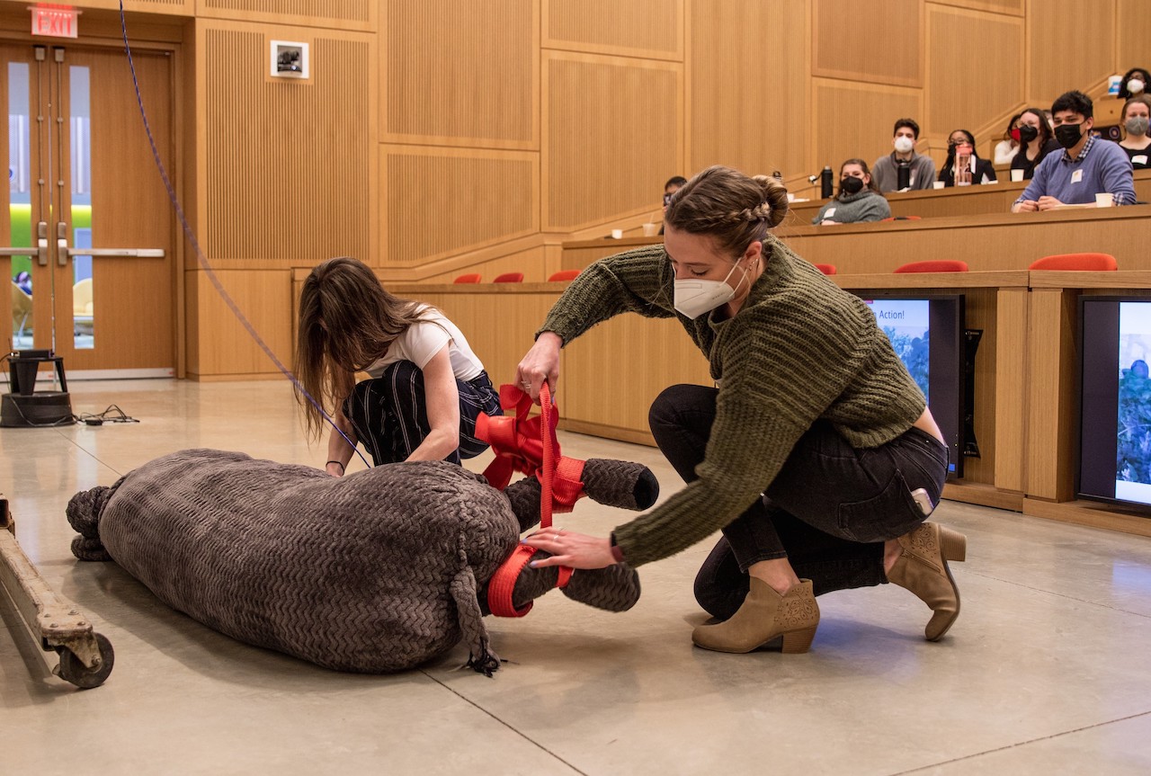 Two students demonstrate a rhino transport method on a large stuffed model
