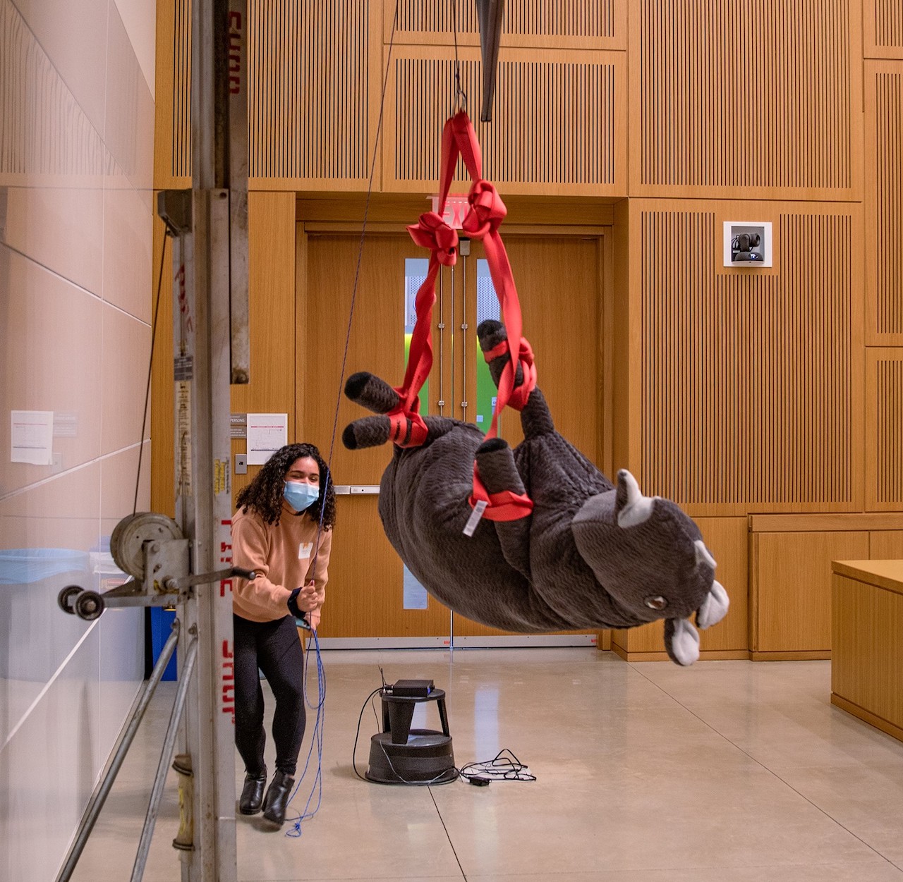 Cornell veterinary student Samantha Moya, D.V.M. ’25, participates in a simulated rhino transport