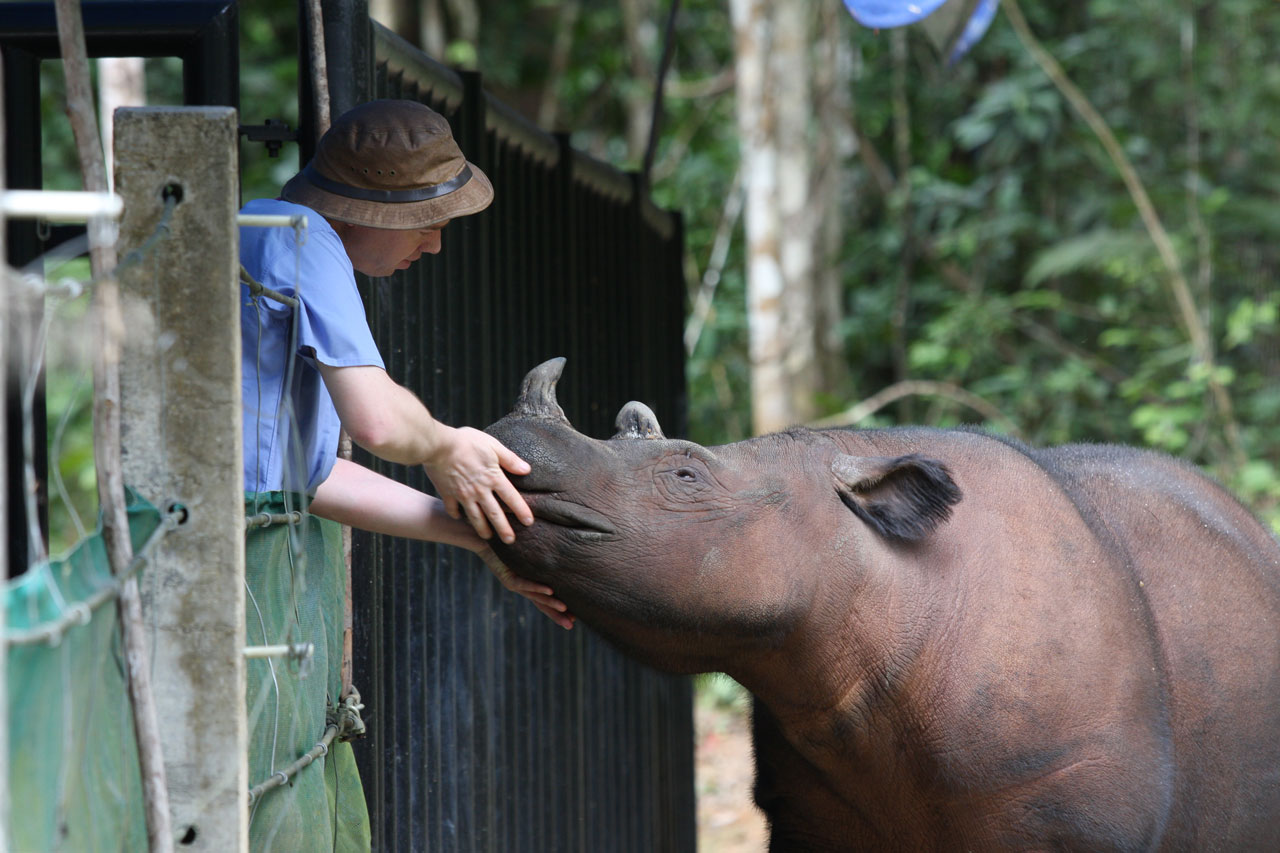 Robin Radcliffe and a Javan rhino