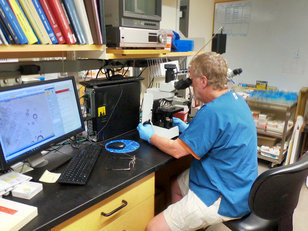 Rod Getchell at a microscope for the Aquatic Health Program