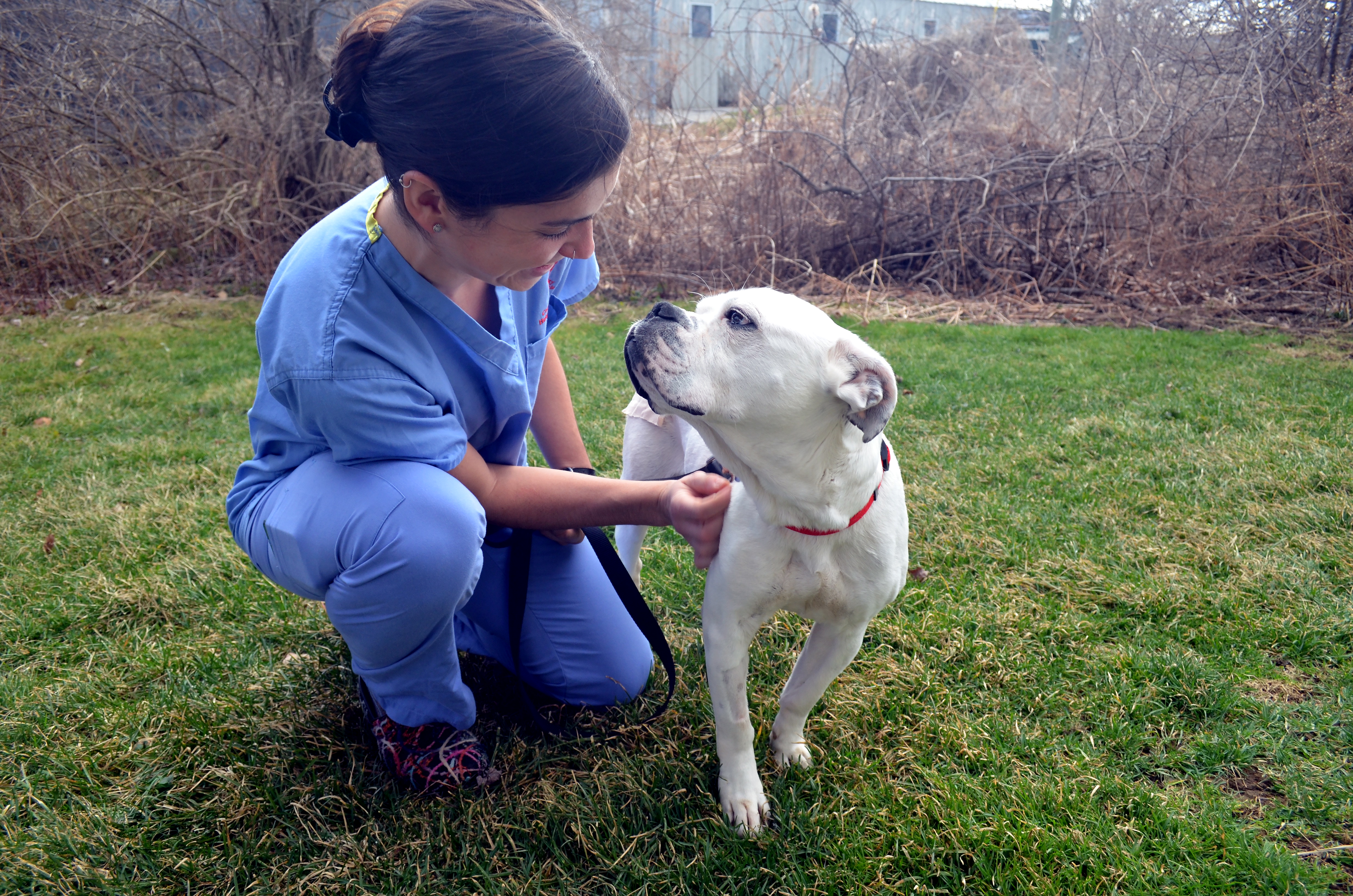 Rotation student Dierdre comforts a dog