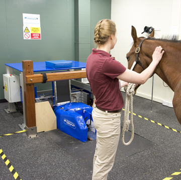 Woman Ruffian Horse