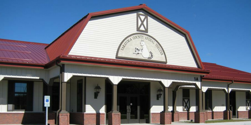 The exterior of the Saratoga County Animal Shelter against a bright blue sky