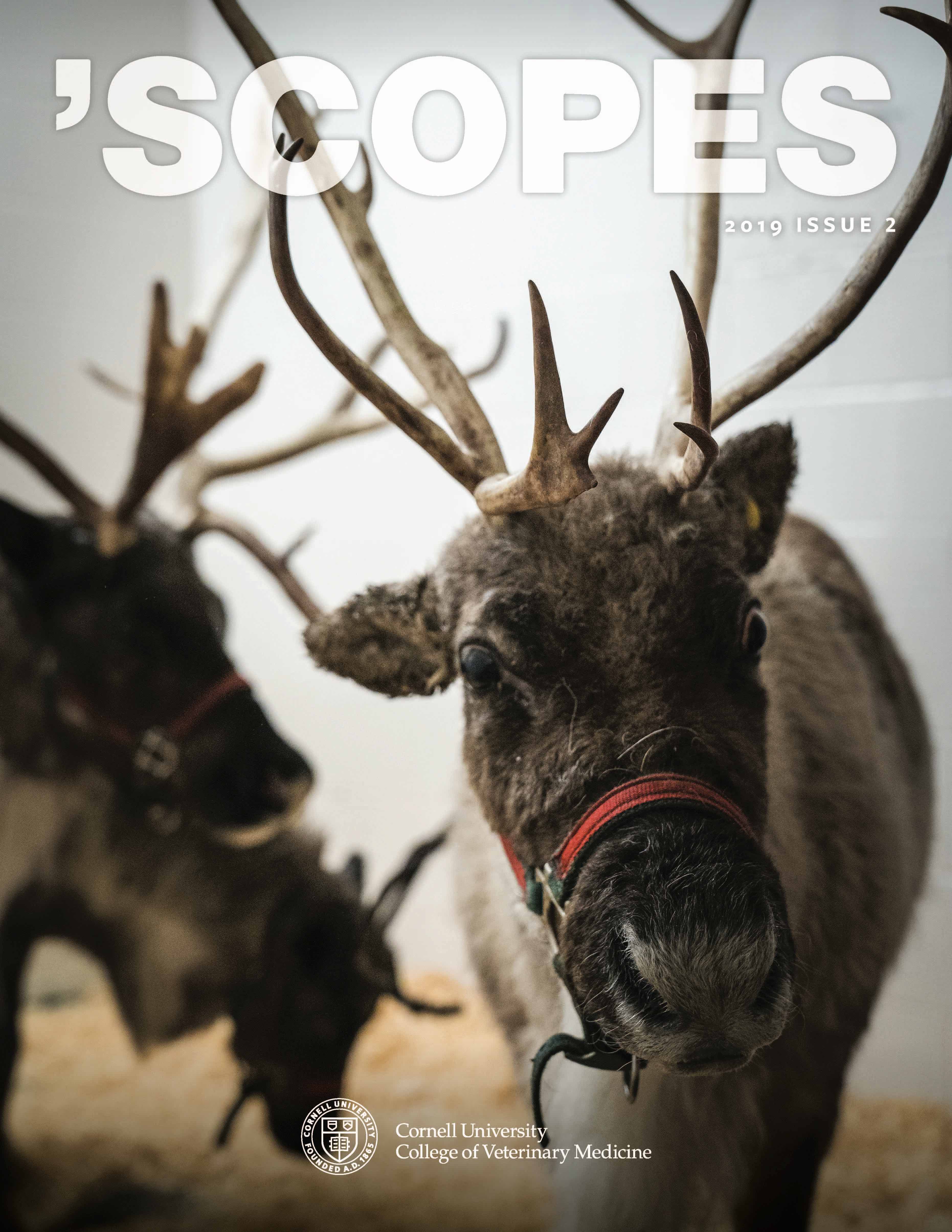 Scopes 2019 Issue 2 cover