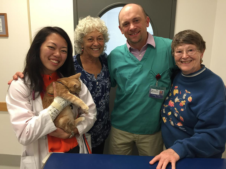 four people pictured with one person holding a cat
