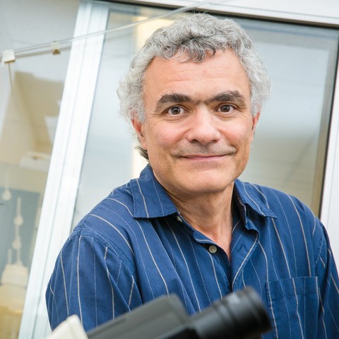 John Schimenti, PhD