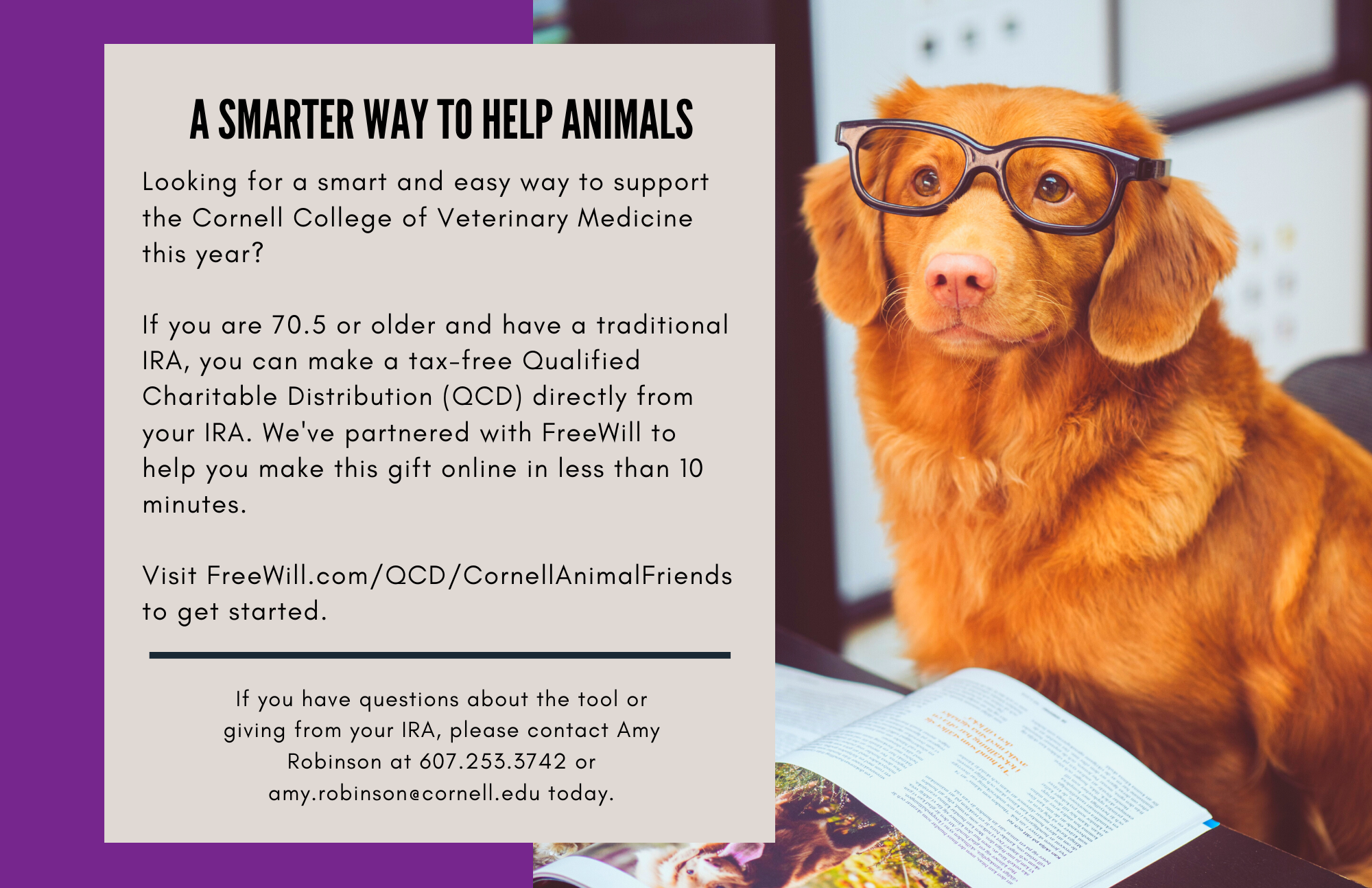 A Smarter Way to Help Animals Looking for a smart and easy way to support the Cornell College of Veterinary Medicine this year? If you are 70.5 or older and have a traditional IRA, you can make a tax-free Qualified Charitable Distribution (QCD) directly from your IRA. We’ve partnered with FreeWill to help you make this gift online in less than 10 minutes. Visit FreeWill.com/QCD/CornellAnimalFriends to get started. If you have any questions about the tool or giving from IRA, please contact Amy Robinson at 607.253.3742 or amy.robinson@cornell.edu today