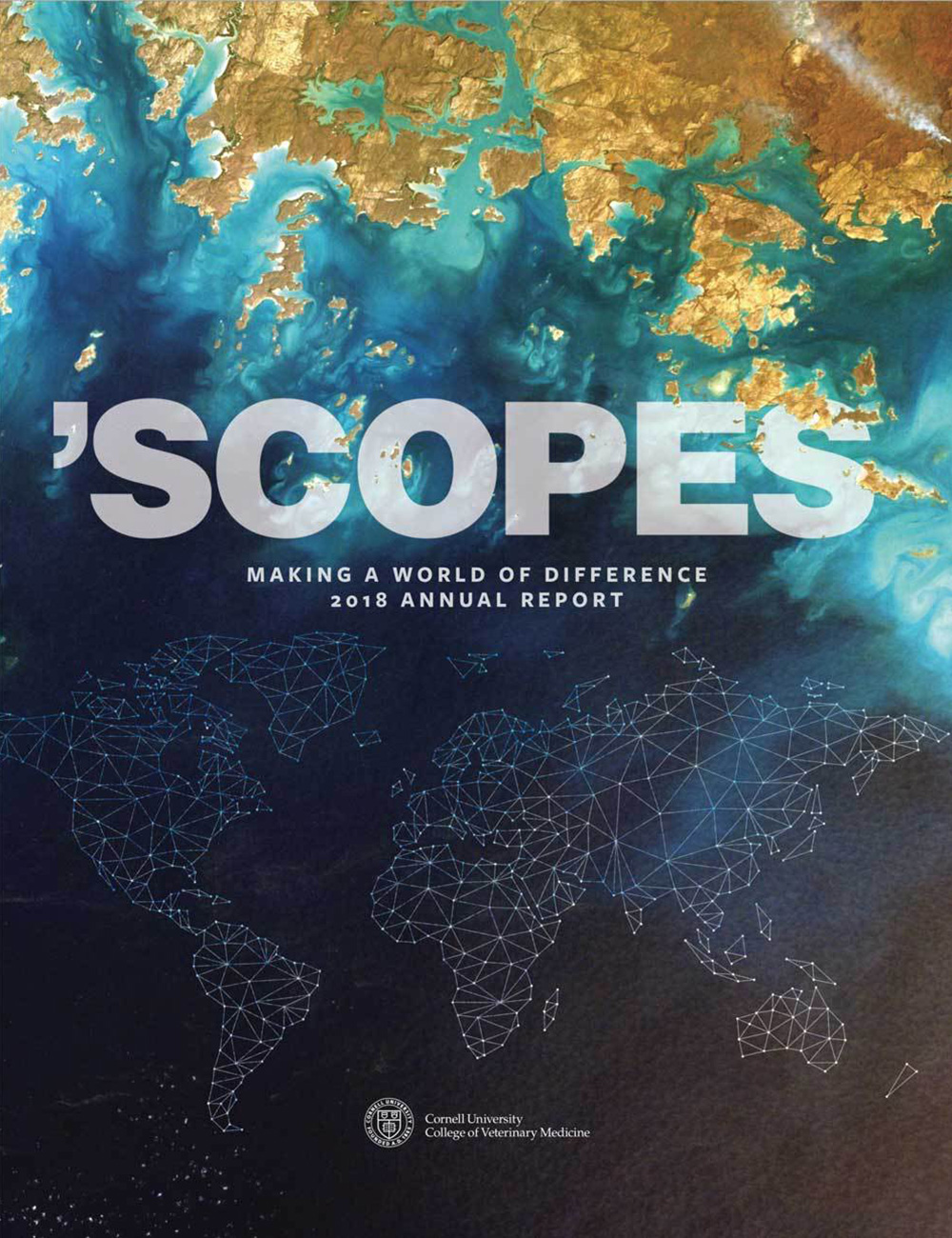 Scopes annual report 2018 cover