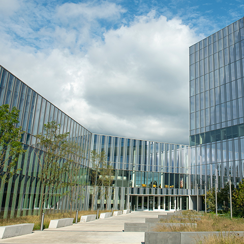 Walk way to metal and glass building