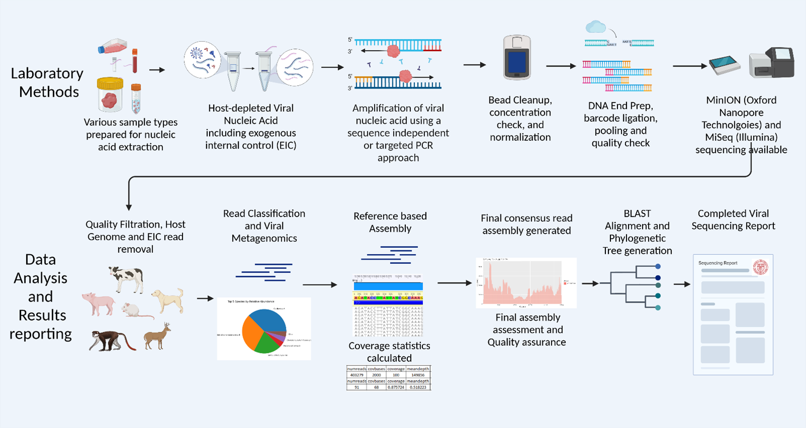 Sequencing Process Overview