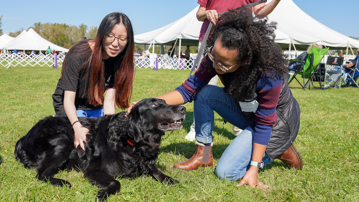 Vivian Shum and Leah Ramsaran pet a seated black Labrador