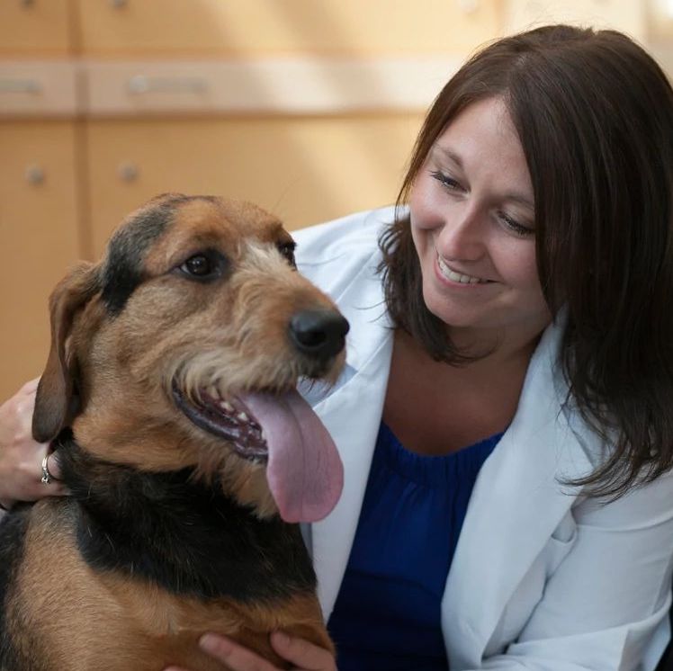 A female vet kneels next to a dog with their tongue out