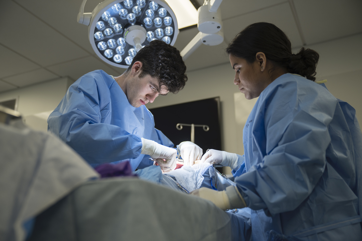 Two students in the lab practicing surgery on a Syndaver model