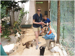 Students in Mexico with feral cats