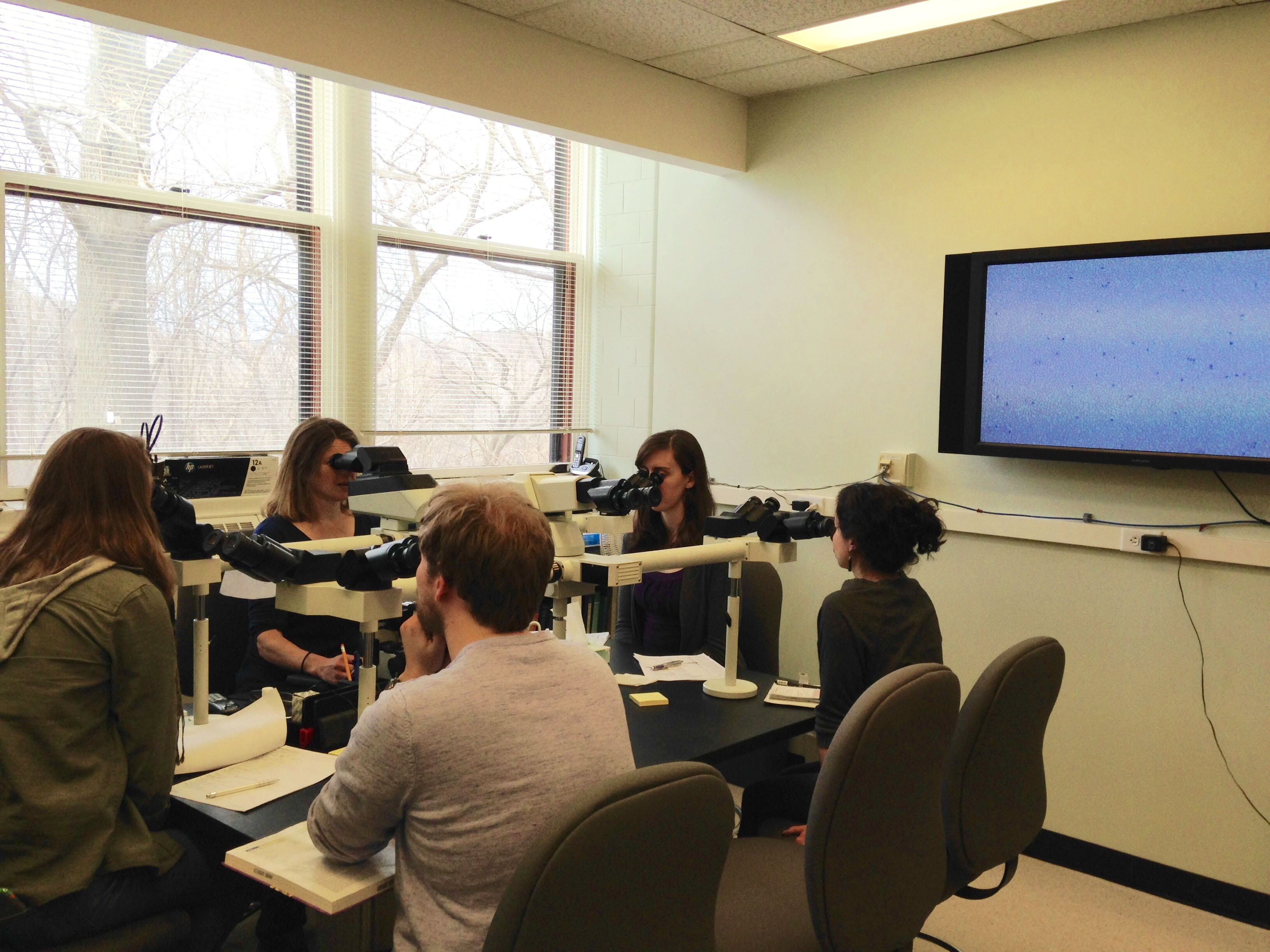 Residents working with microscopes
