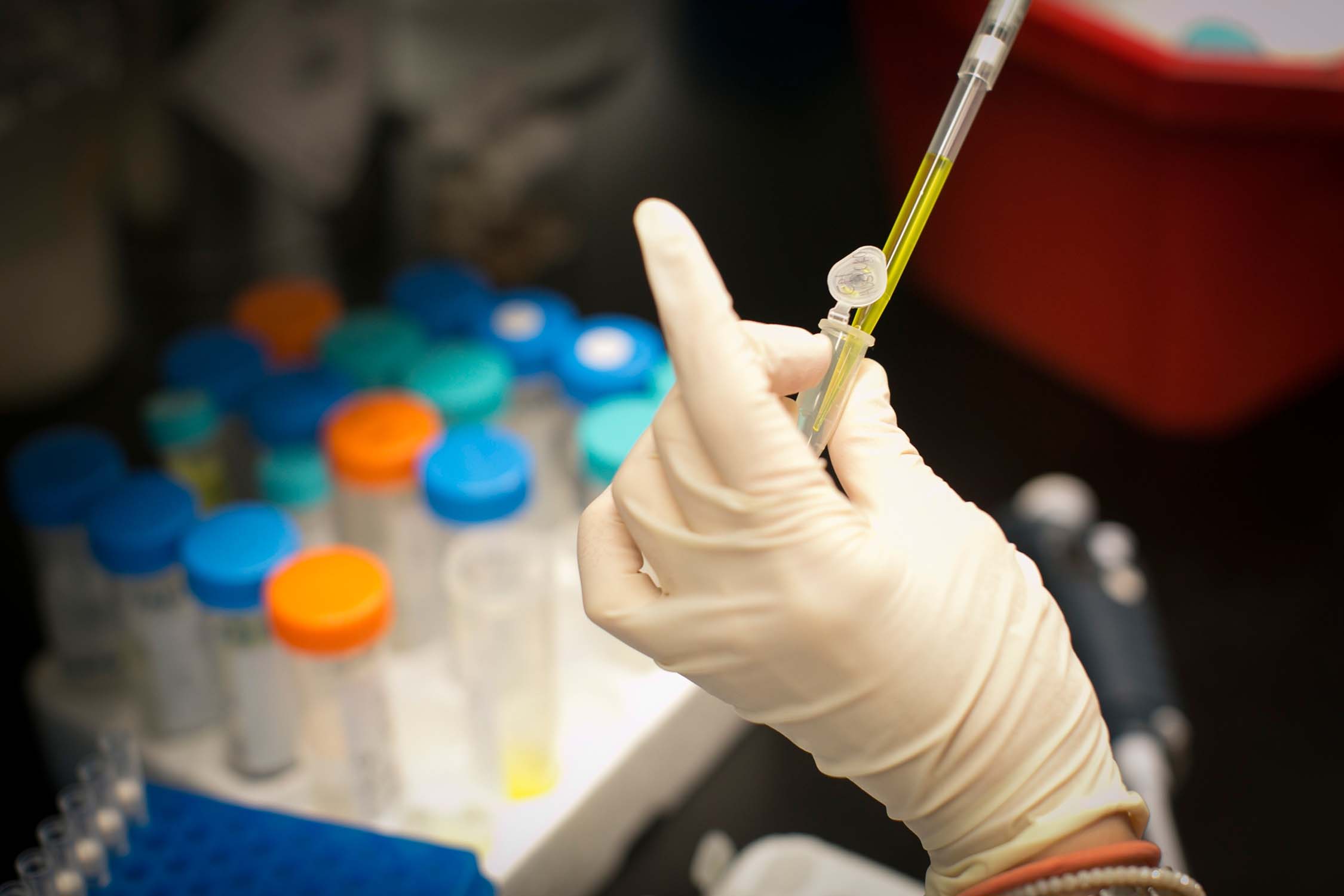 Biomedical & Biological Sciences PhD Program Cornell University College of Veterinary Medicine