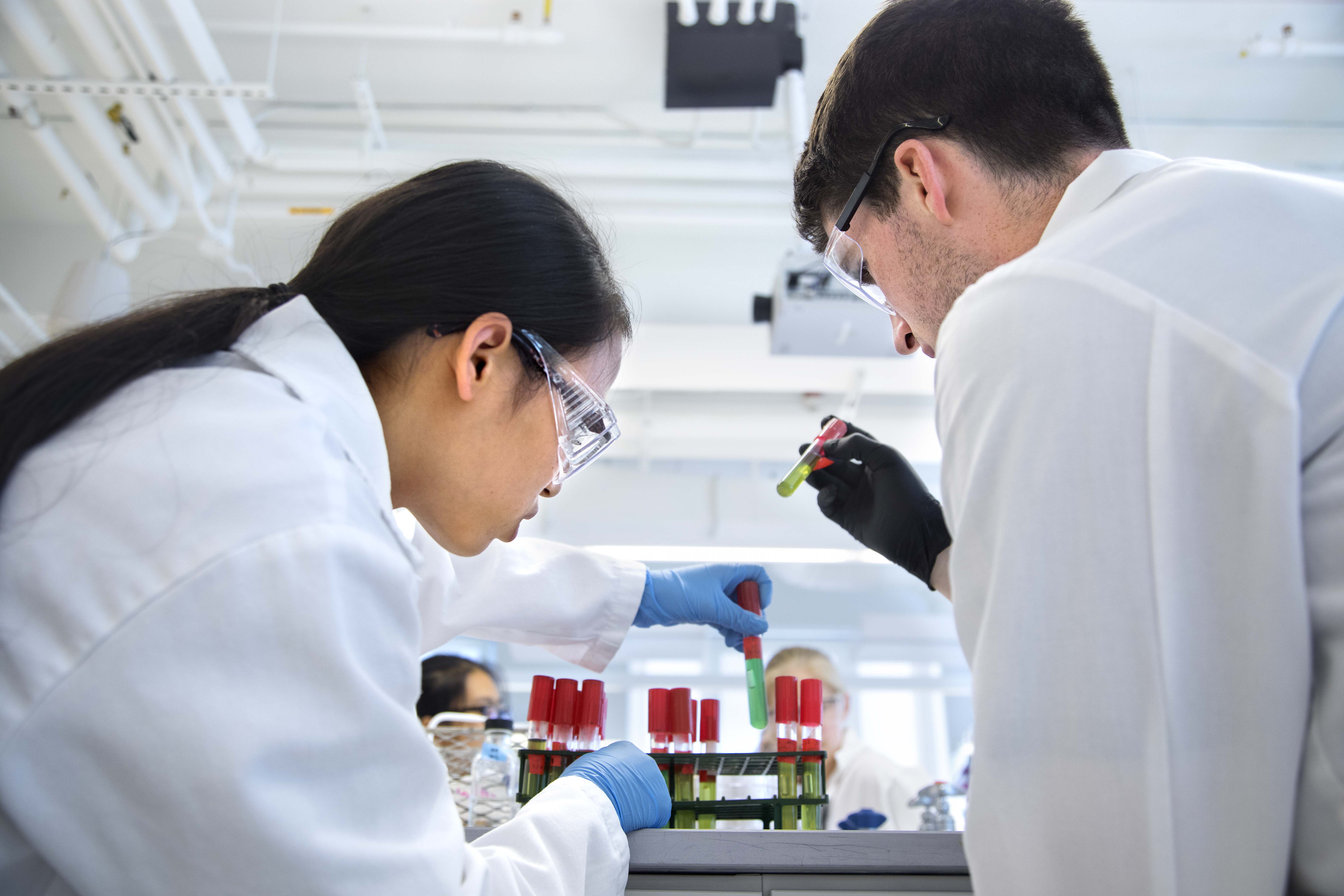 Biomedical & Biological Sciences PhD Program Cornell University