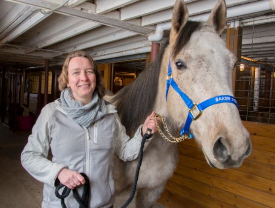 doctor with a horse