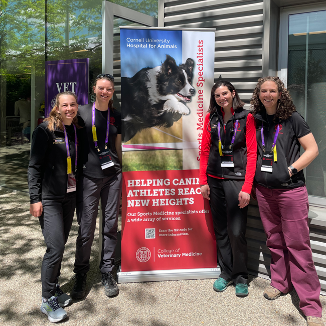 A group photo of the veterinarians mentioned in this New York Times article