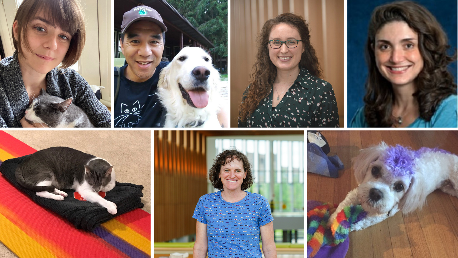 A collage of multiple wellbeing committee members, some with their pets.