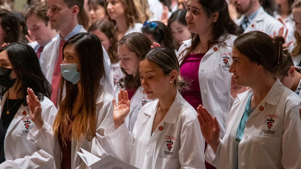 Students reciting the Veterinarian's Oath