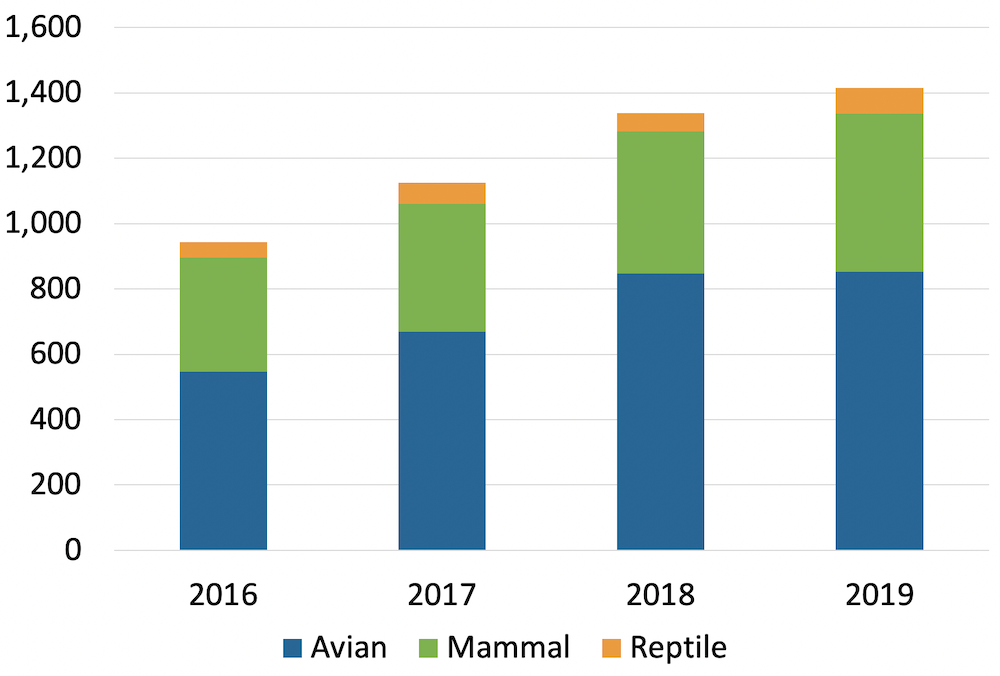 The wildlife hospital caseload bar chart for AY 2019, describing the updated numbers in the table above