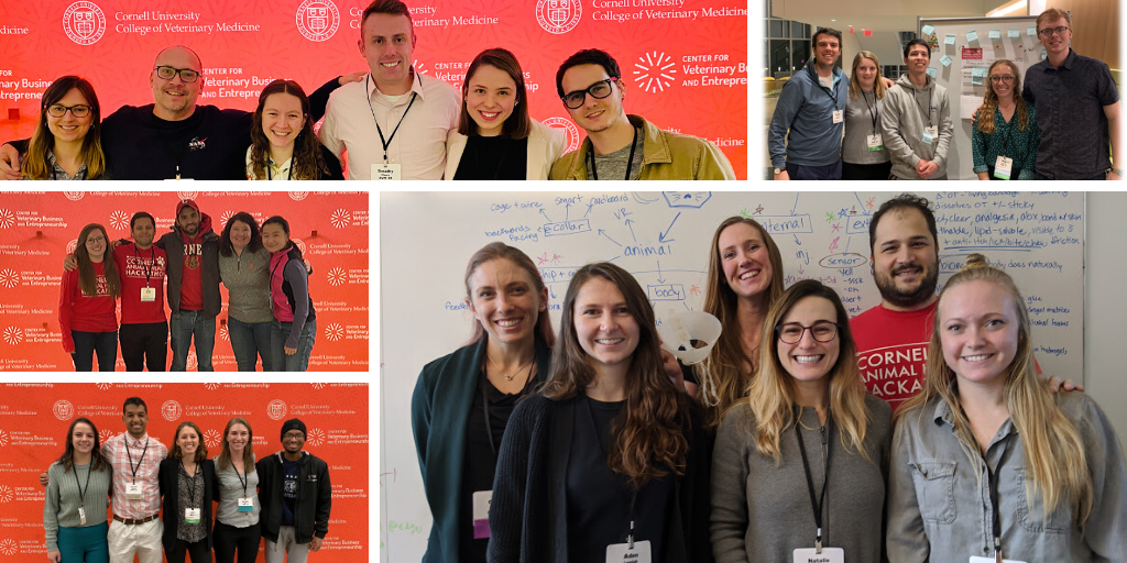 A collage of five teams that won awards at this year's hackathon