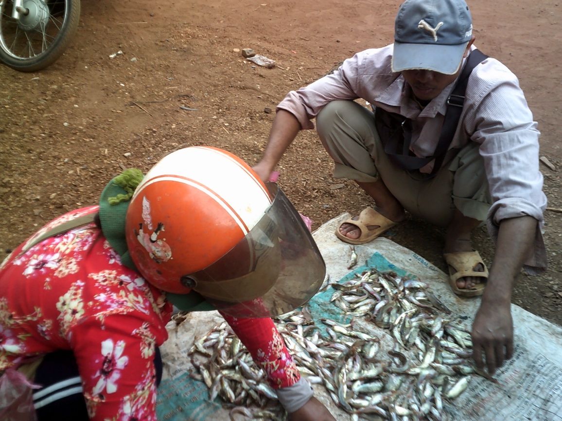 Fish market in Cambodia