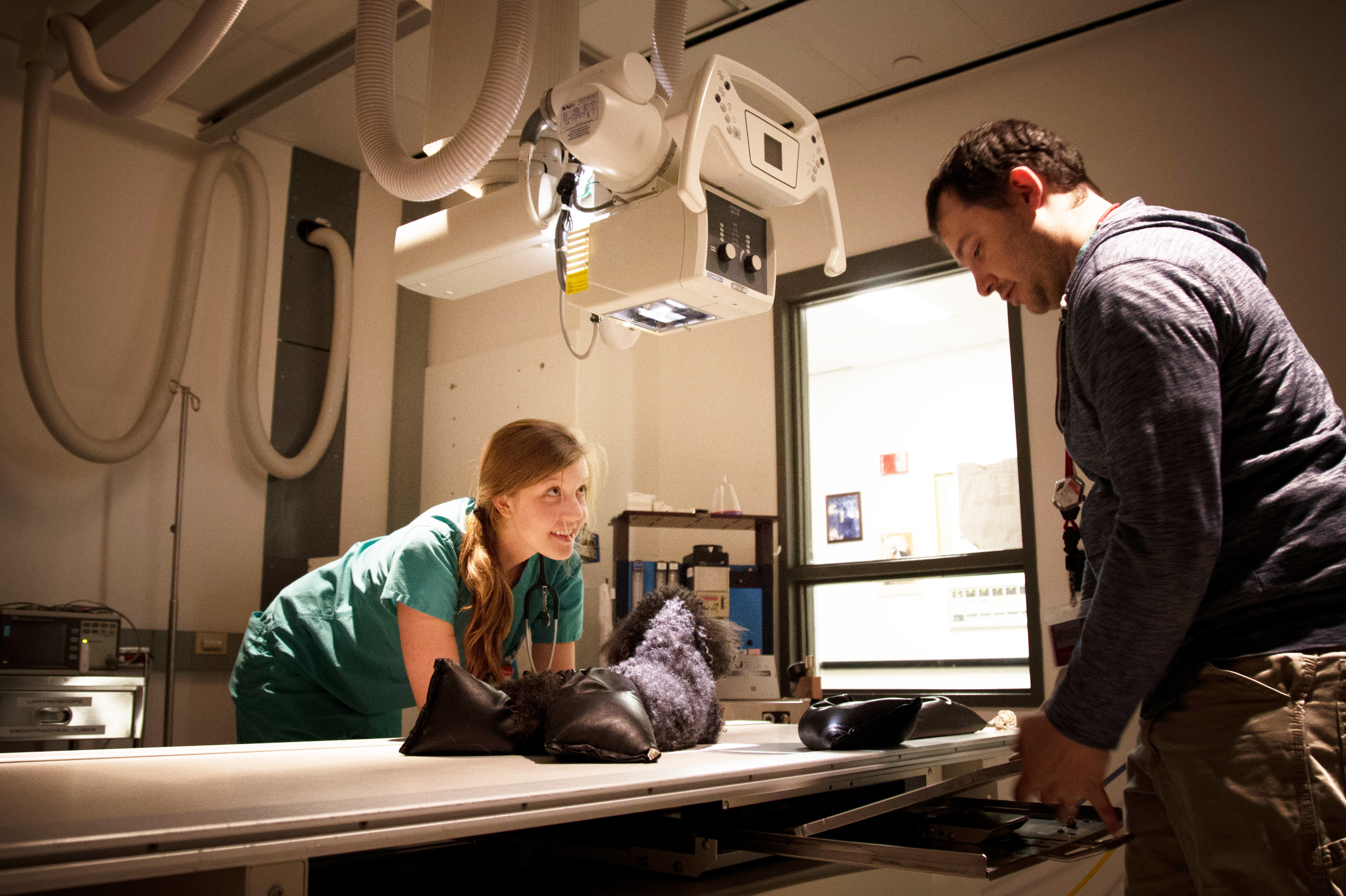 Decorative picture of a radiography suite