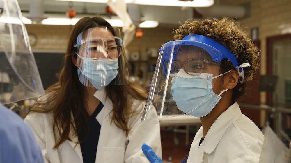 Two students discuss a neuroanatomy lab sample while wearing face shields and masks