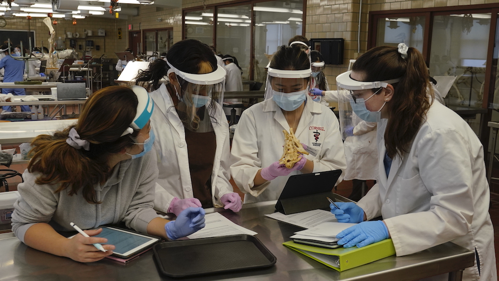 A group of veterinary students examine a specimen in a neuroanatomy lab, all wearing face masks and shields