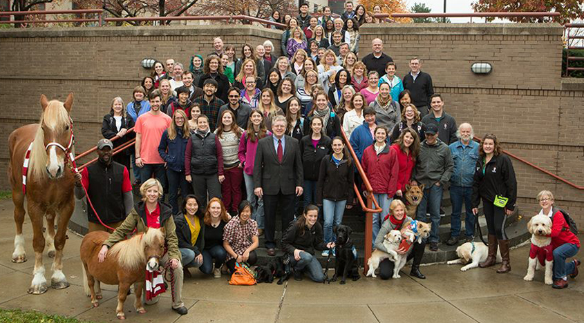 the Cornell Veterinary community 