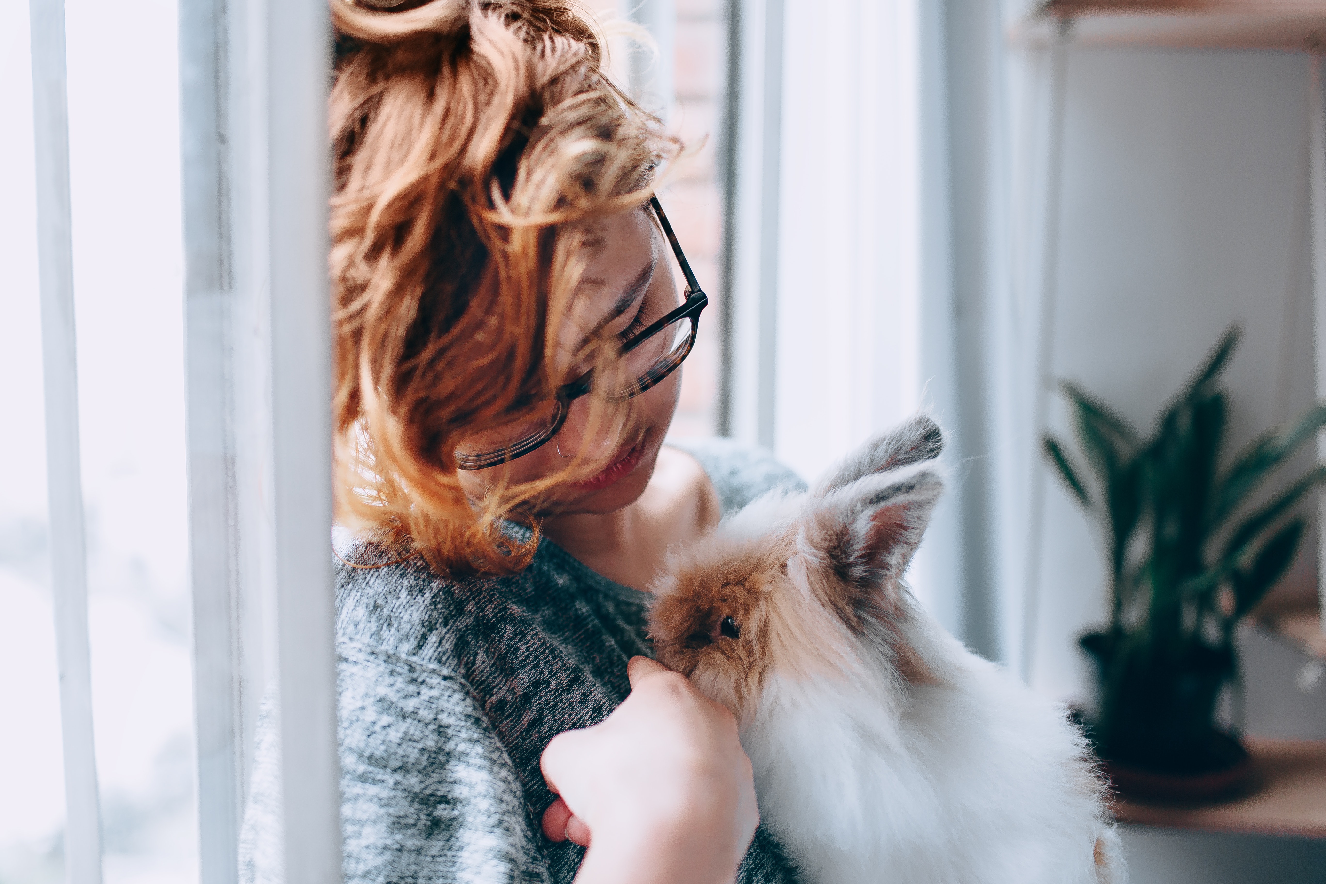Pet Loss Support Hotline Cornell University College Of Veterinary Pet Loss Support Hotline Cornell University College Of Veterinary