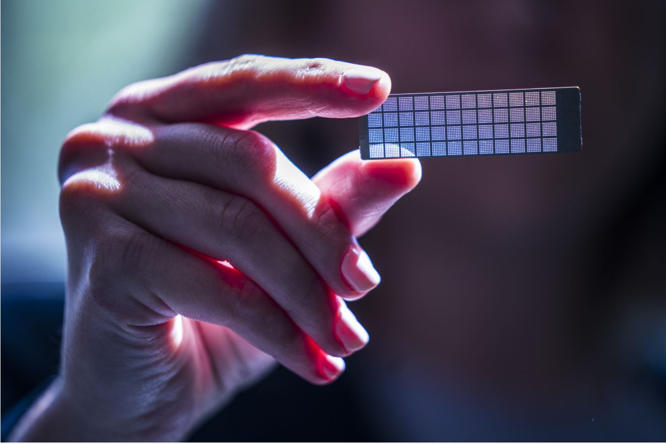 close up of a hand holding a microchip