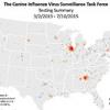 Canine Influenza Continues to Spread