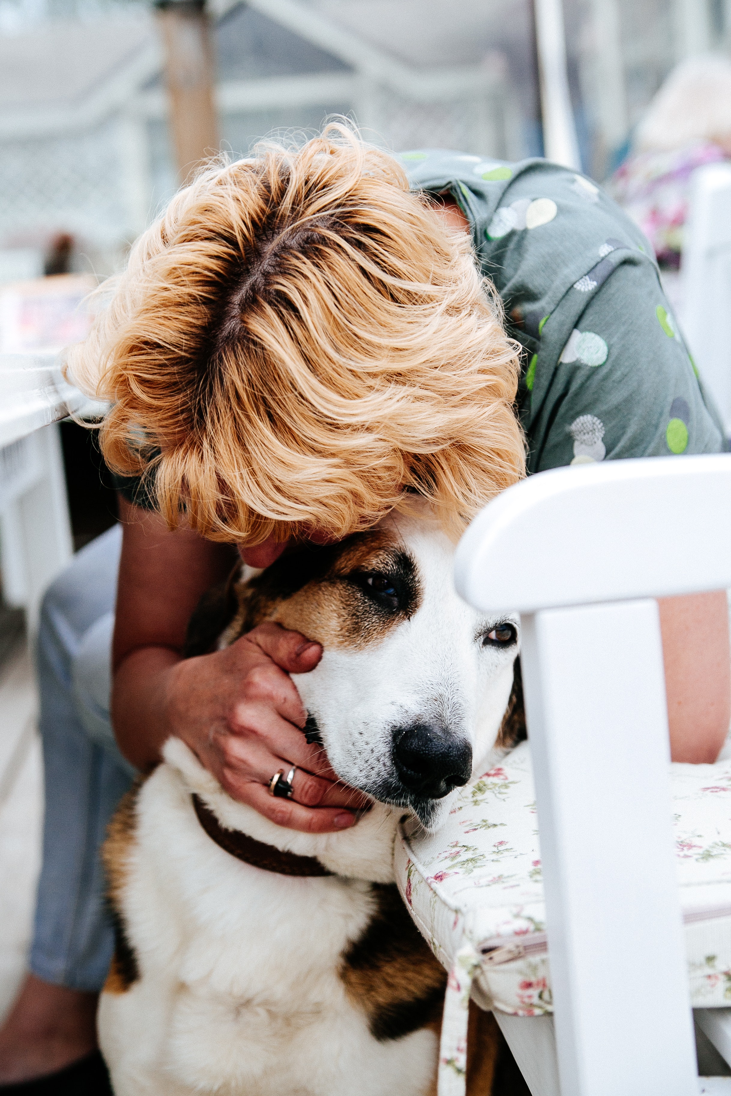 A woman hugs a brown and white dog