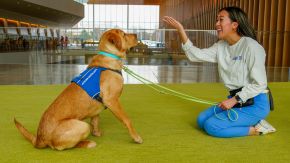 student and dog