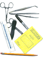 Clipart of lab items
