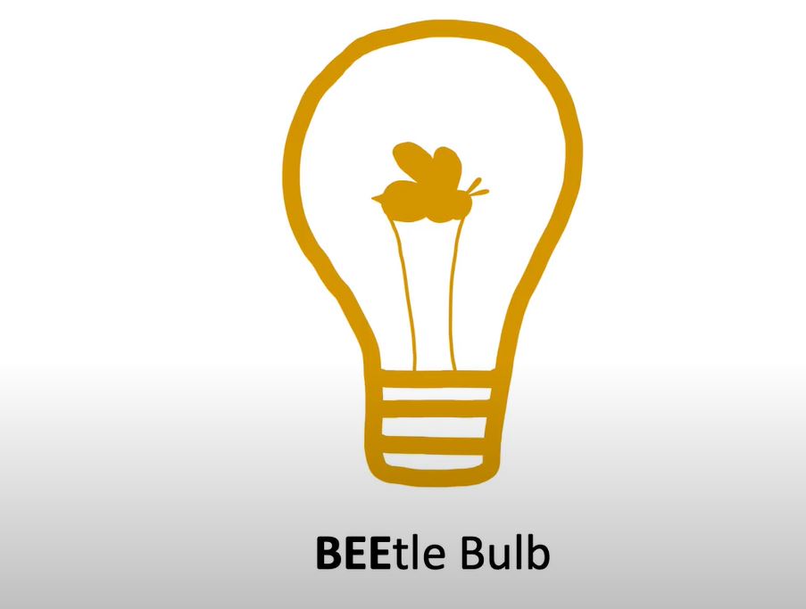 Logo for Beetle Bulb 