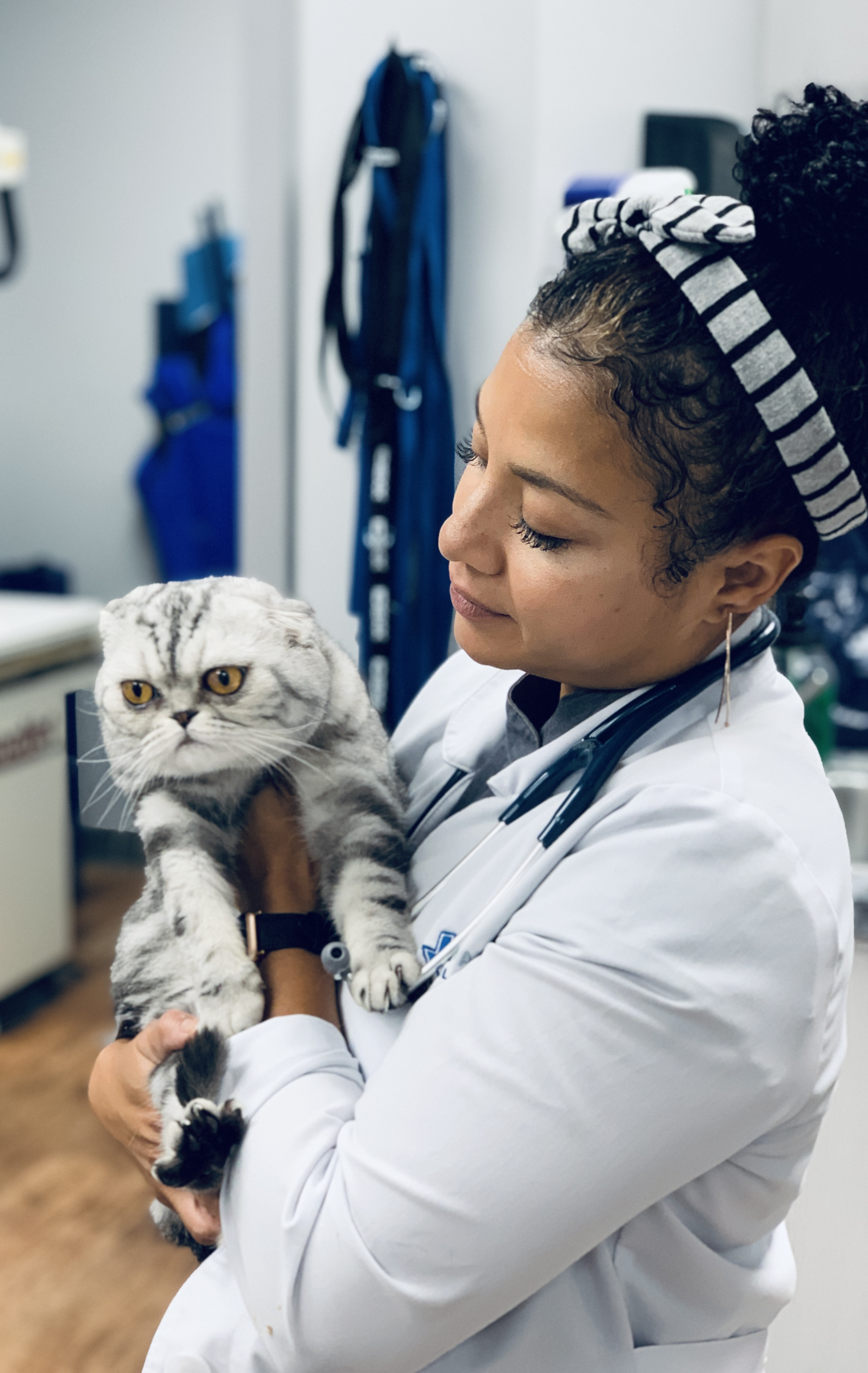 Bruno and cat