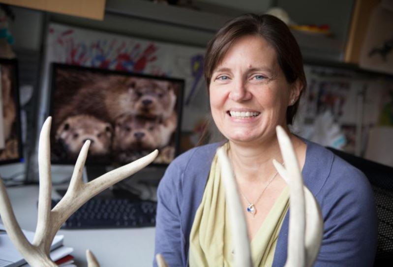Woman smiling in front of antlers