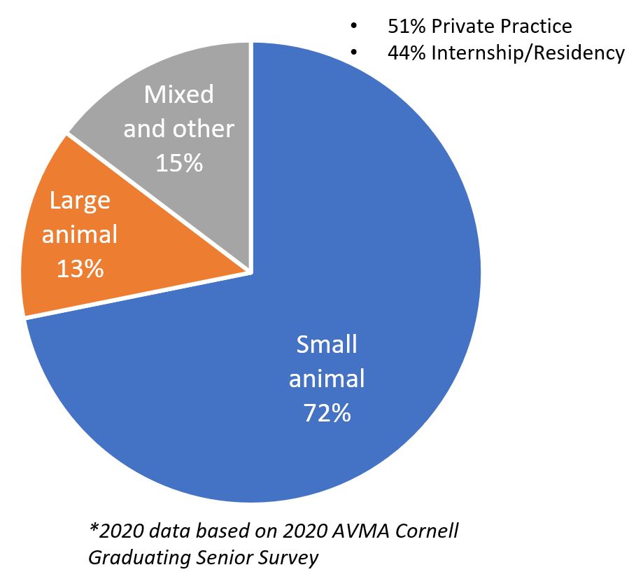 a pie chart noting percentage breakdown of career plans for CVM veterinary graduates: 13% for large animal, 15% mixed and other, and 72% for small animal