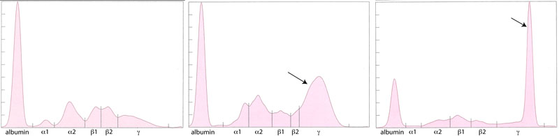 ClinPath Graph 1-3