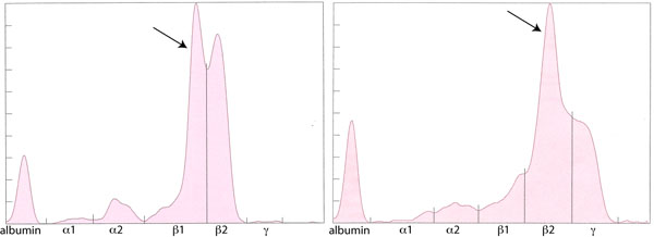 ClinPath Graph 4-5