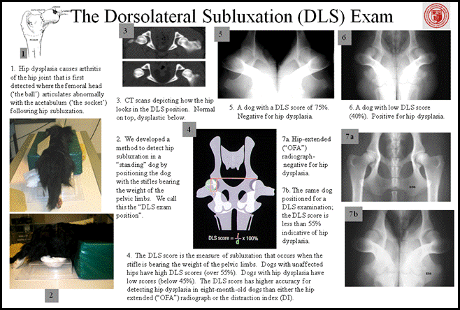 poster for DLS 8 3 09