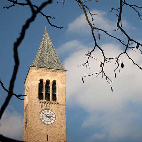 Clock tower