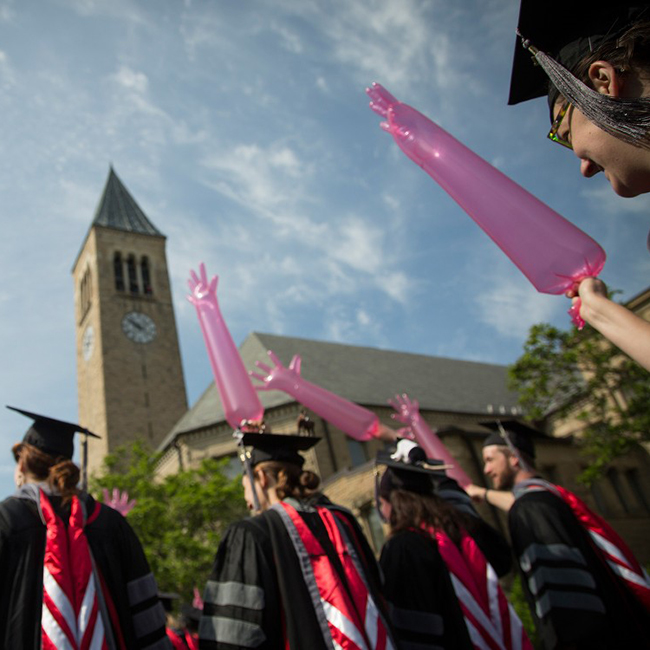 Visual of Meet our Graduates