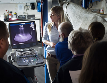 Instructor with a horse and student in front of an ultrasound 
