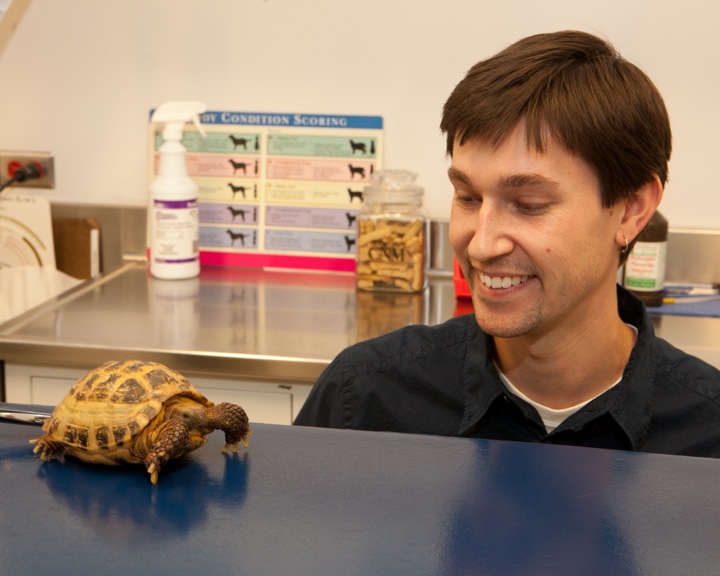 Exotic Pets Service | Cornell University College of Veterinary Medicine