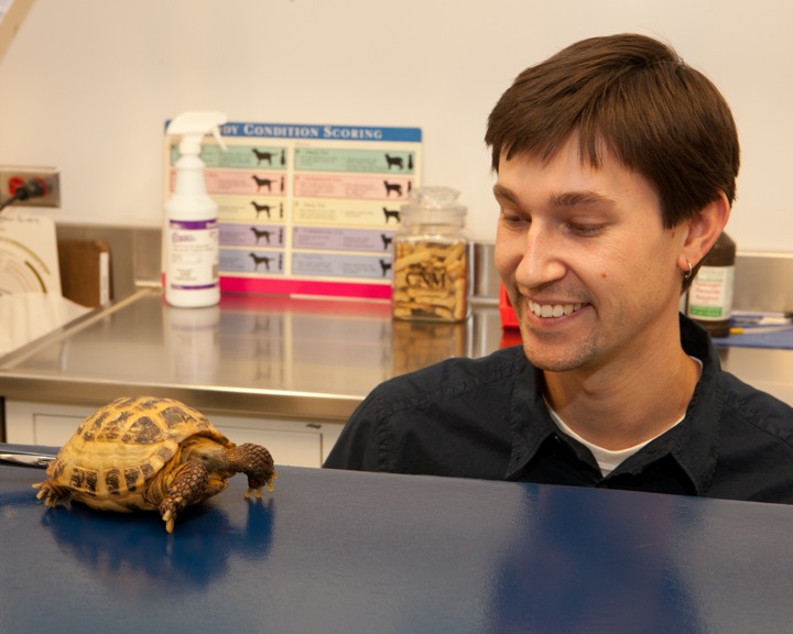 Exotic Pets Service | Cornell University College of Veterinary